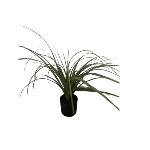 GRESSPOTTE 45CM - Bilde 1