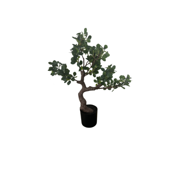 MILANTRE 55CM - Bilde 1