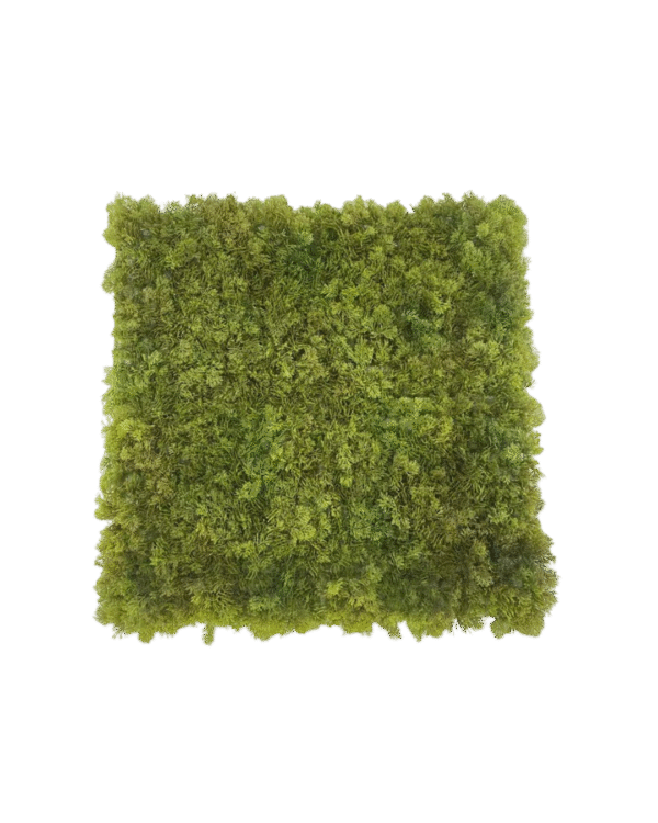 MOSEVEGG 50X50 - Bilde 1