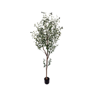 OLIVENTRE 180CM