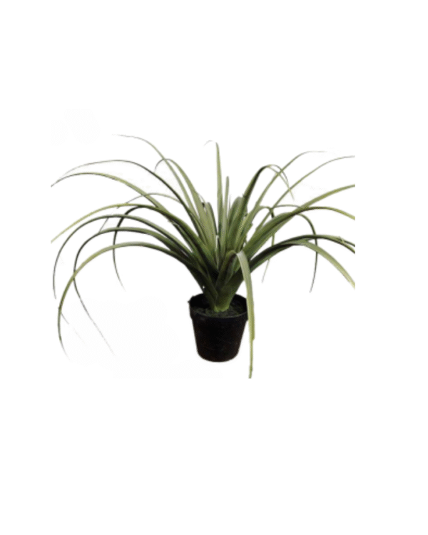 GRESSPOTTE 55CM - Bilde 1