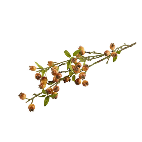 SILKEBLOMST NYPE - Bilde 1