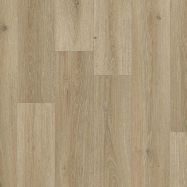 ICONIK T-EXTRA POWELL OAK BRONZE - Bilde 1