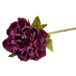 En kunstig peonstilk med en stor, fyldig blomst i en dyp burgunderrød og lilla nyanse, grønne blader.