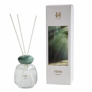 En minimalistisk glassflaske med Fern duftpinner 120ml i duften Clear Air, komplett med naturlige trepinner for jevn duftspredning
