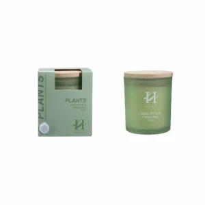 Serene duftlys 190g Eucalyptus og Fresh Mint i en grønn glassbeholder ved siden av den stilrene gaveesken
